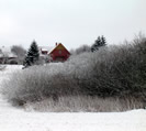 Ferienhaus zum Schfer, Winteransicht vom Wldchen